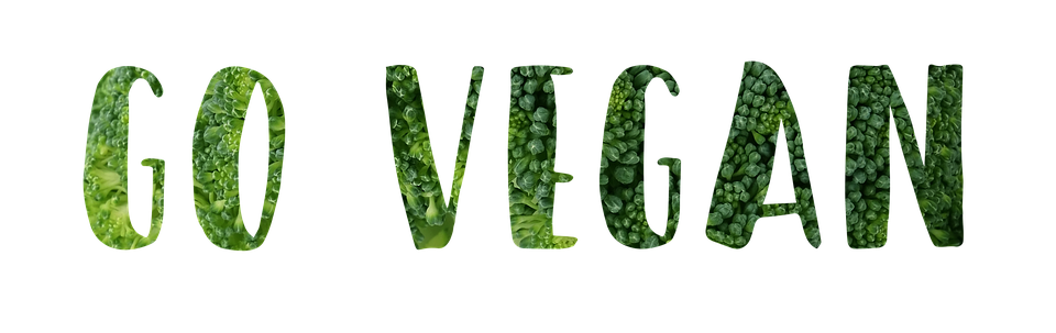 veg ricette